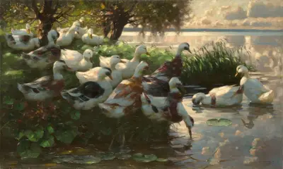 Enten am Seeufer av Alexander Koester