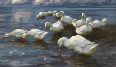 Enten am Seeufer av Alexander Koester