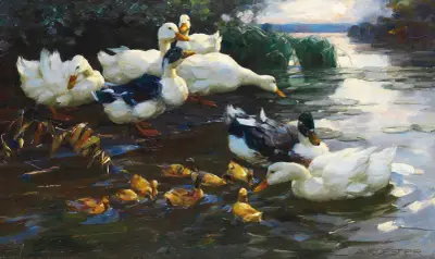 Enten mit Küken im Wasser von Alexander Koester