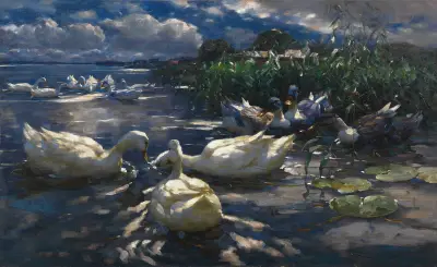 Enten, Reichenau von Alexander Koester