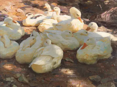 Liegende Enten – Licht und Schatten av Alexander Koester