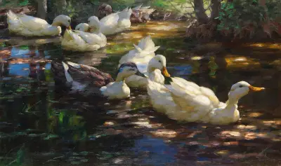 Sieben Enten im schattigen Waldteich von Alexander Koester