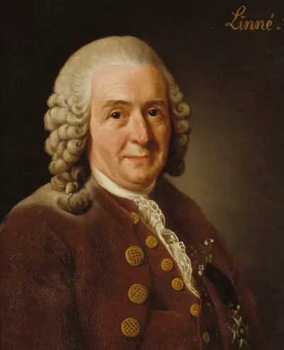 Carl von Linné, 1707–1778, Botaniker, Professor von Alexander Roslin