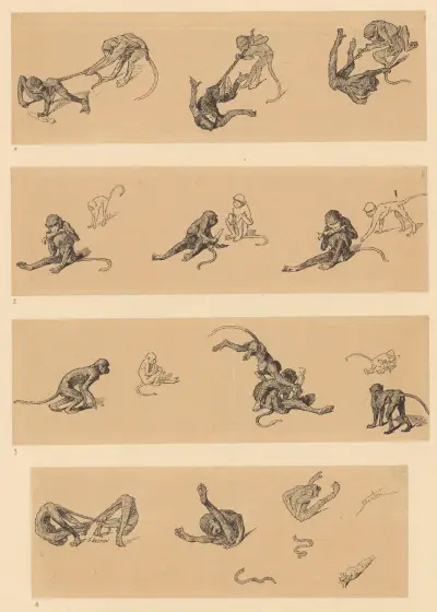 Singes av Théophile Alexandre Steinlen