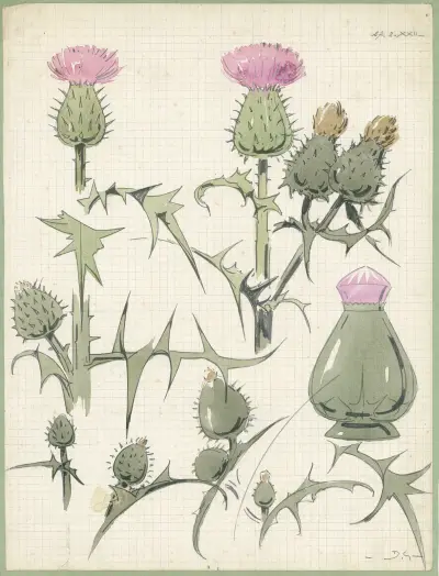 Distel, 2de soort av Alfred Ost