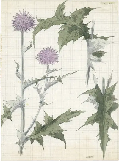 Distel, 2de soort av Alfred Ost