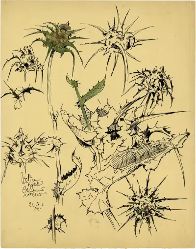 Distel, 2de soort av Alfred Ost