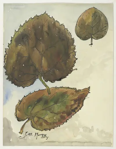 Herfstblad van de Linde av Alfred Ost