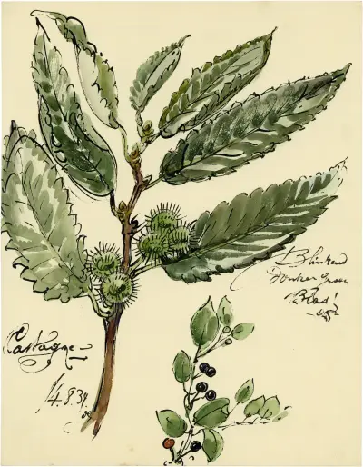 Planten av Alfred Ost