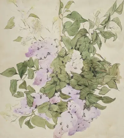 Liliowiec, Alfred Ost