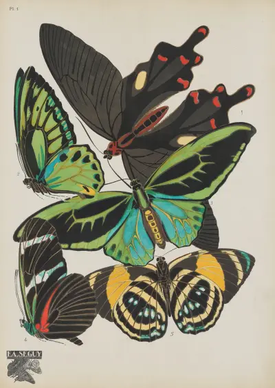 Papillons Pl.01 av Emile-Allain Séguy