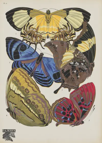 Papillons Pl.04 av Emile-Allain Séguy