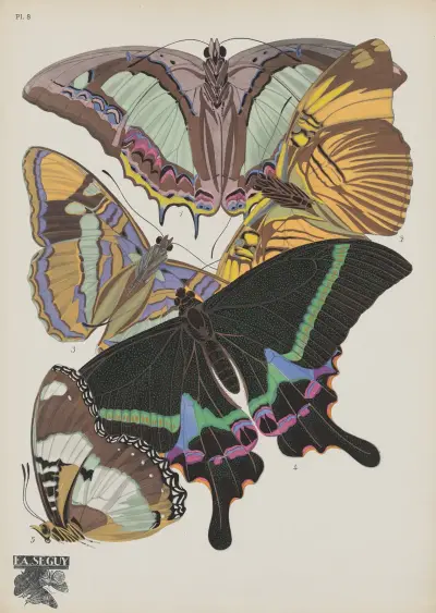 Papillons Pl.08 av Emile-Allain Séguy