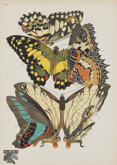 Papillons Pl.09 av Emile-Allain Séguy