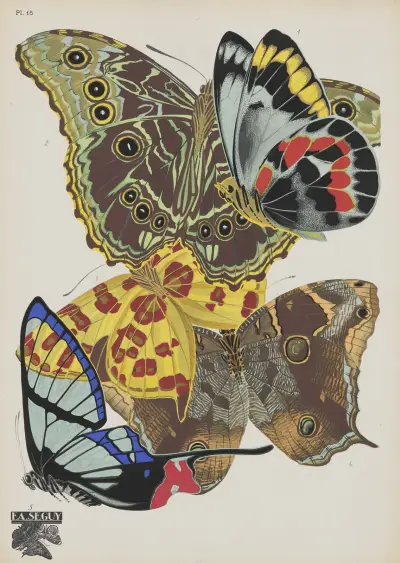 Papillons Pl.15 av Emile-Allain Séguy