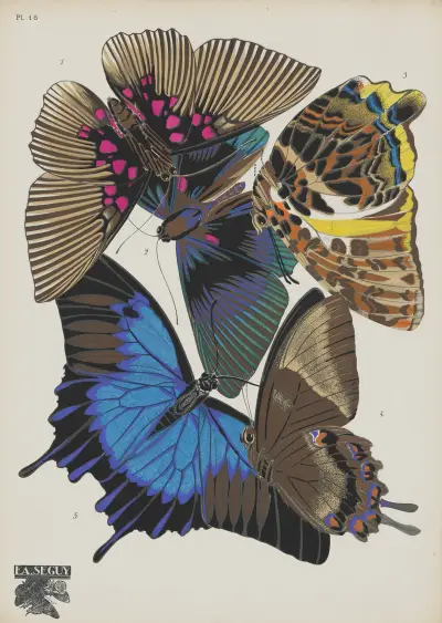 Papillons Pl.16 av Emile-Allain Séguy