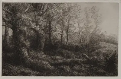 A Woodland Study av Alphonse Legros