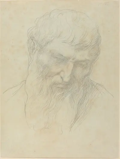Head of a Man with Curly Hair and Beard av Alphonse Legros