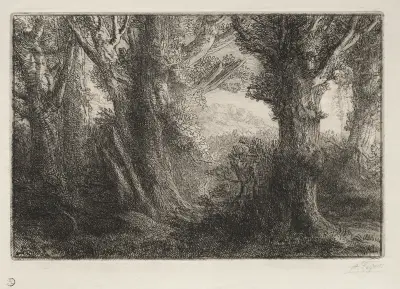 In the Forest at Conteville av Alphonse Legros