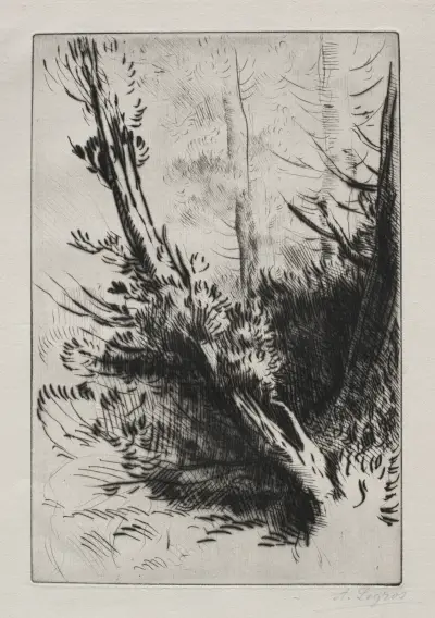 In the Woods av Alphonse Legros