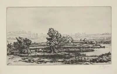 Peat-bogs av Alphonse Legros