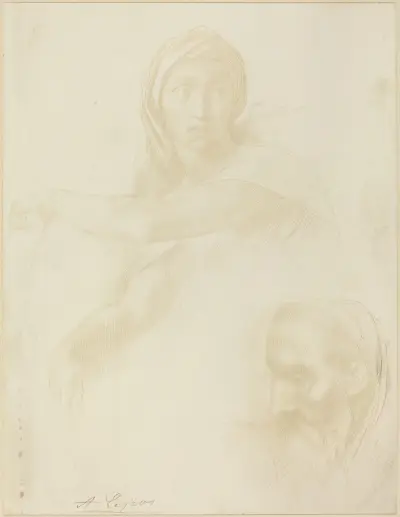 Study of Delphic Sibyl; Head of a Man av Alphonse Legros