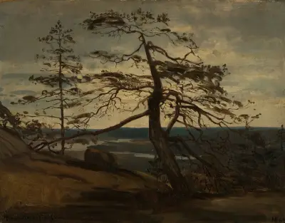 Fjellfuru, Setesdal av Amaldus Nielsen