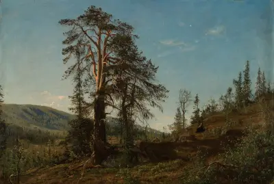 I Vingeråsheia, Telemark av Amaldus Nielsen