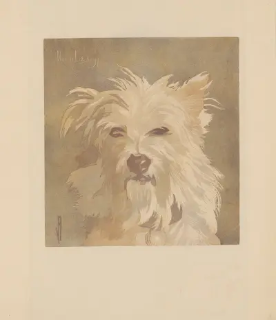 Nicolas ; (Tête de chien) av Amédée Joyau