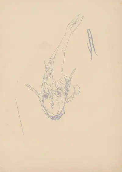 Rouget-Grondin, 1900 – Nr. 1 von Amédée Joyau