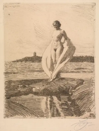 Svanen av Anders Zorn