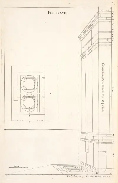 Preparatory to the thirty-ninth. [Outline and perspective lines.] av Andrea Pozzo