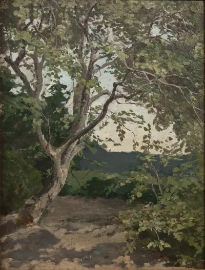 A Tree. Study av Anna Nordlander