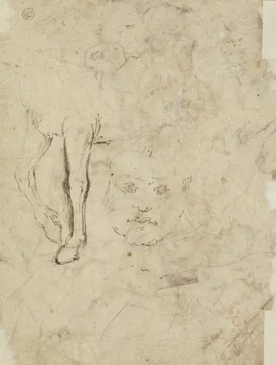 Studienblatt; Die Vorderläufe eines Pferdes sowie ein Kinderkopf en face av Annibale Carracci