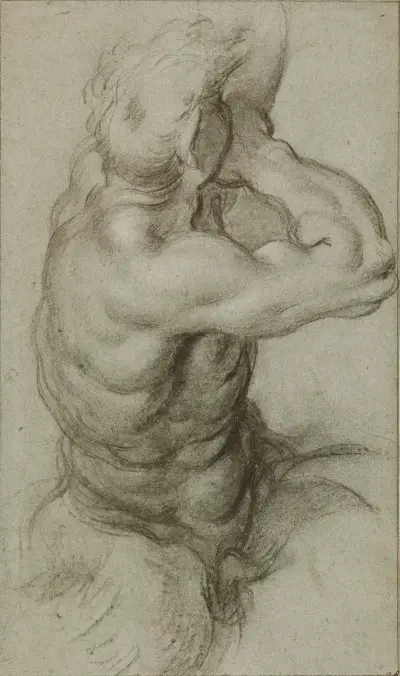 Studie Tritóna, který fouká do lastury, Annibale Carracci