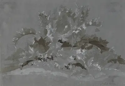 Study of Weeds av Jean-Antoine Linck