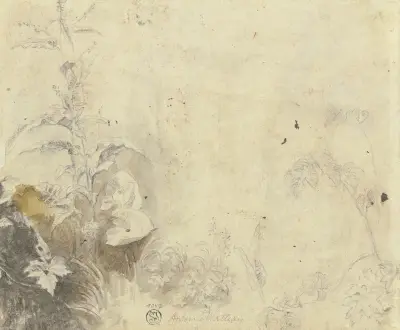 Plants av Jean-Antoine Watteau