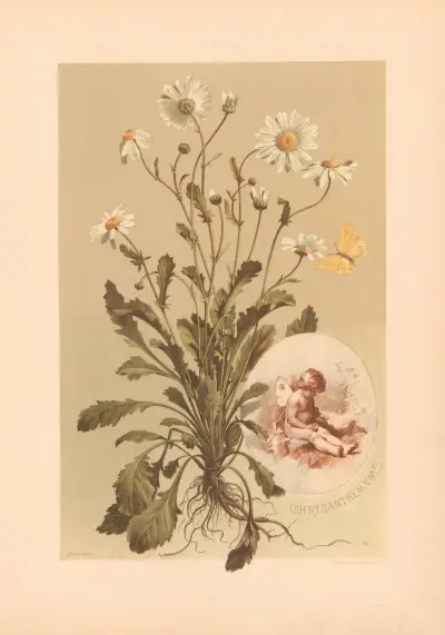 Växten i konst och hantverk (Die Pflanze in Kunst und Gewerbe), pl. 004 av Anton Seder