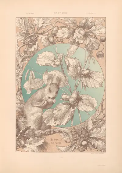 Die Pflanze in Kunst und Gewerbe, Tafel 20 von Anton Seder