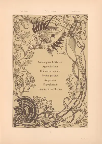 Die Pflanze in Kunst und Gewerbe (The Plant in Art and Industry) Pl.025 av Anton Seder