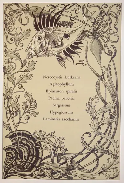 Die Pflanze in Kunst und Gewerbe Pl.034 von Anton Seder