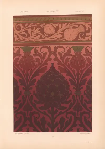 Växten i konst och konsthantverk (Die Pflanze in Kunst und Gewerbe), pl. 057 av Anton Seder