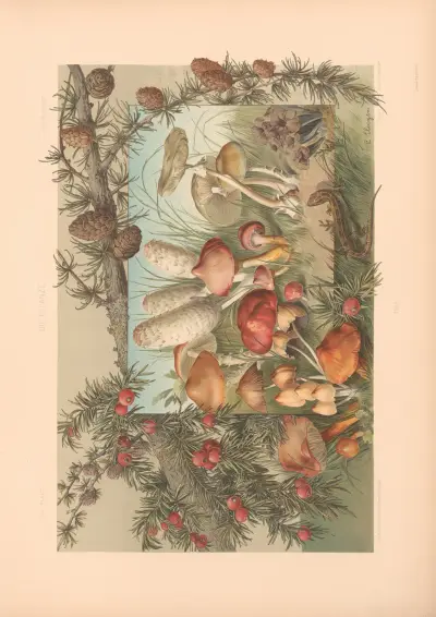 Die Pflanze in Kunst und Gewerbe (The Plant in Art and Industry) Pl.072 av Anton Seder