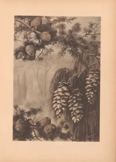 Die Pflanze in Kunst und Gewerbe (The Plant in Art and Industry) Pl.074 av Anton Seder