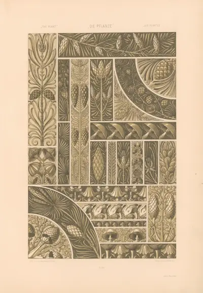 Die Pflanze in Kunst und Gewerbe (The Plant in Art and Industry) Pl.077 von Anton Seder