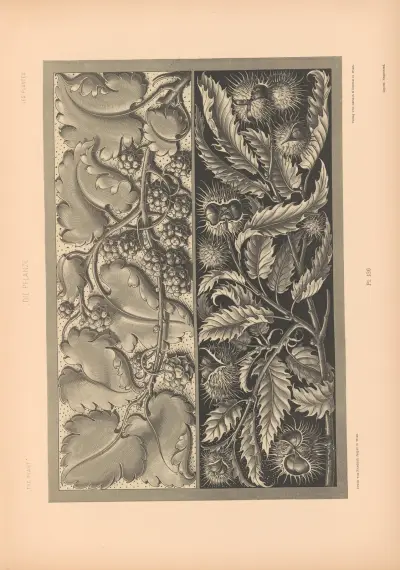 Die Pflanze in Kunst und Gewerbe (The Plant in Art and Industry) Pl.114 av Anton Seder