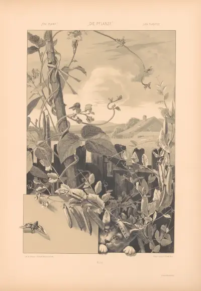 Die Pflanze in Kunst und Gewerbe (The Plant in Art and Industry) Pl.116 av Anton Seder