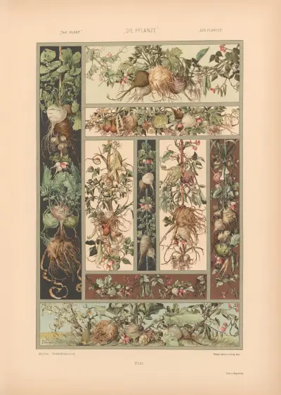 Die Pflanze in Kunst und Gewerbe (The Plant in Art and Industry) Pl.120 av Anton Seder