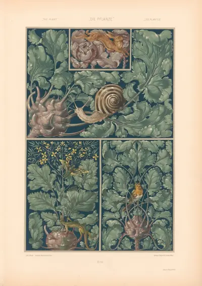 Die Pflanze in Kunst und Gewerbe (The Plant in Art and Industry) Pl.122 av Anton Seder