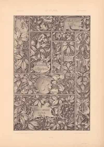 Die Pflanze in Kunst und Gewerbe (The Plant in Art and Industry) Pl.139 av Anton Seder